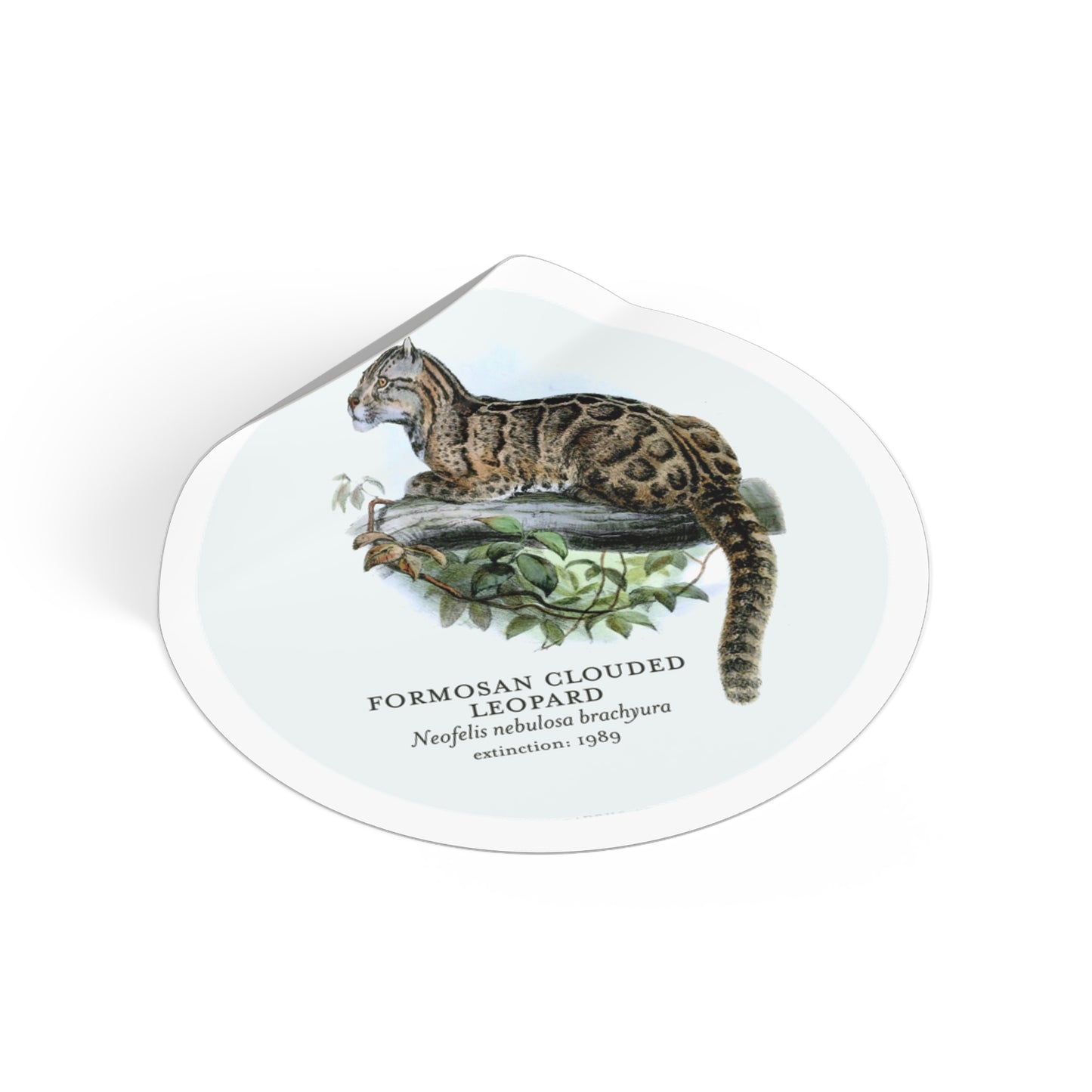 Formosa Clouded Leopard: Extinct Animals Stickers