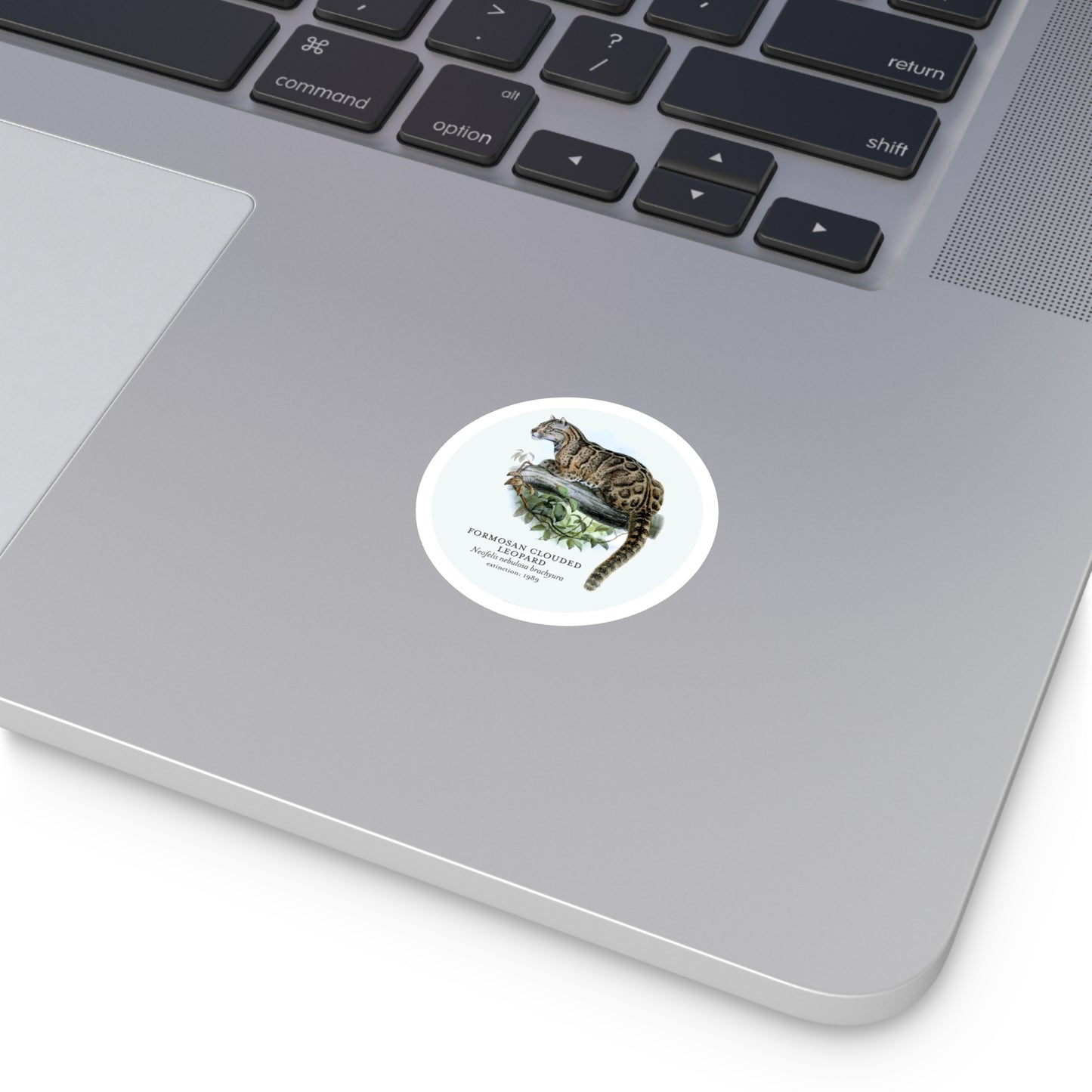 Formosa Clouded Leopard: Extinct Animals Stickers