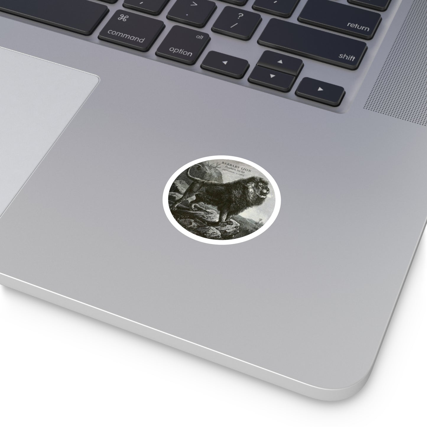 The Barbary Lion: Extinct Animals Stickers