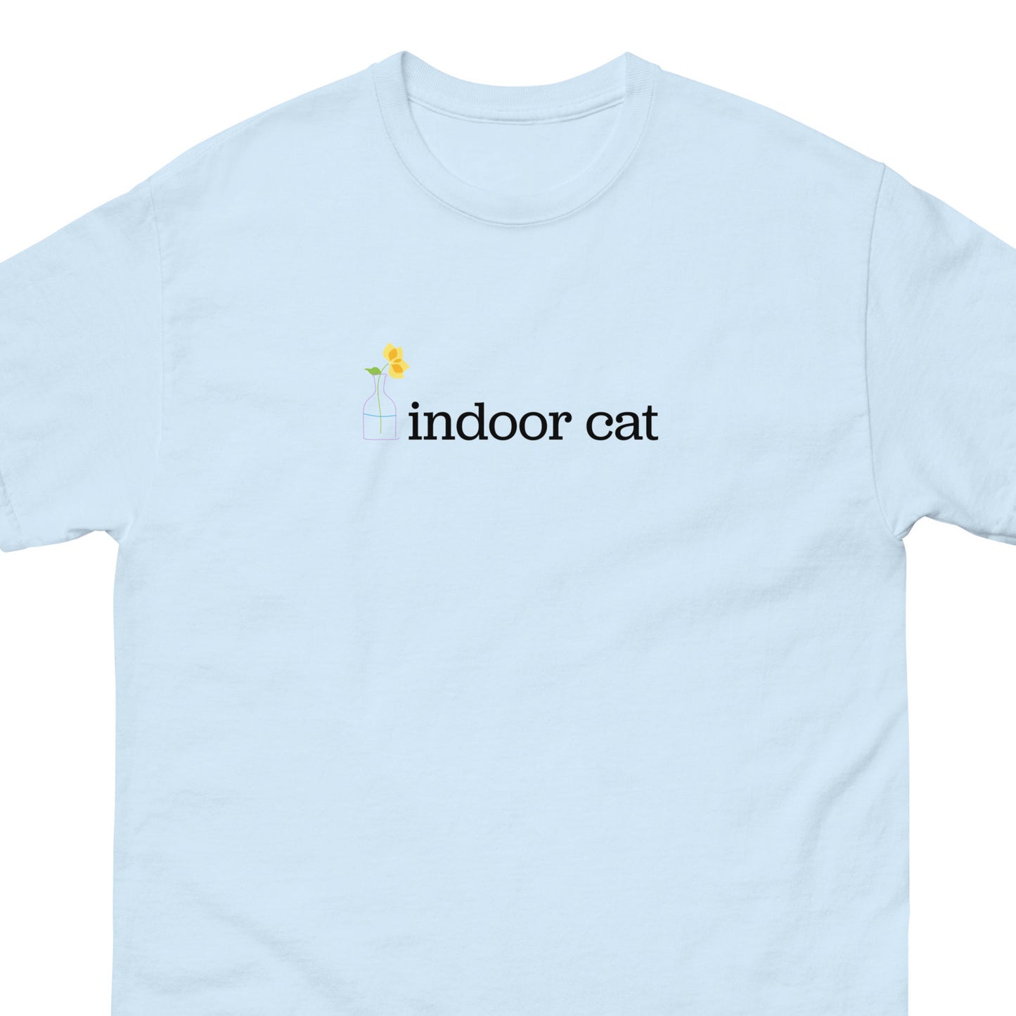Indoor Cat