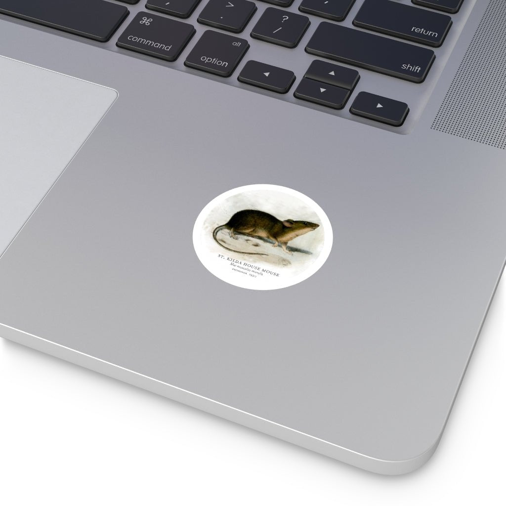 St Kilda House Mouse: Extinct Animals Stickers - Keep Salem Odd