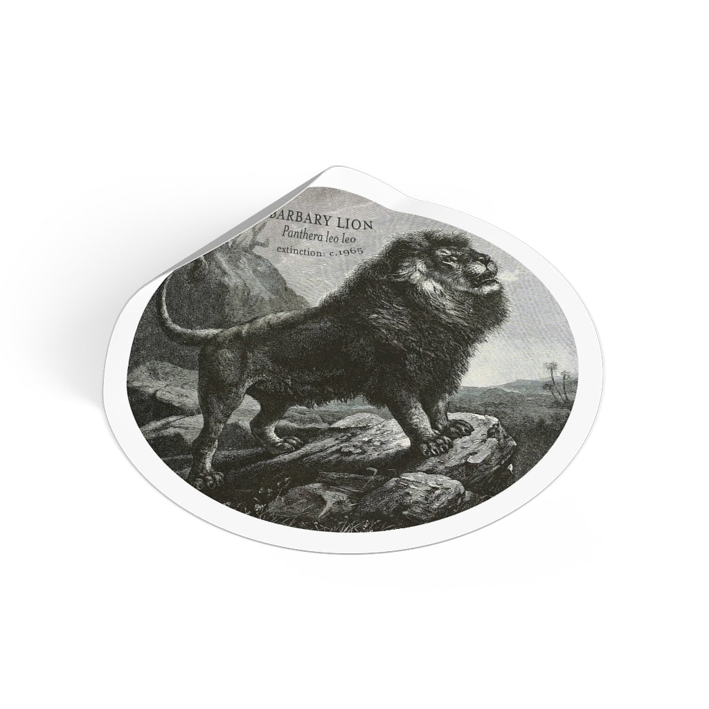 The Barbary Lion: Extinct Animals Stickers - Keep Salem Odd