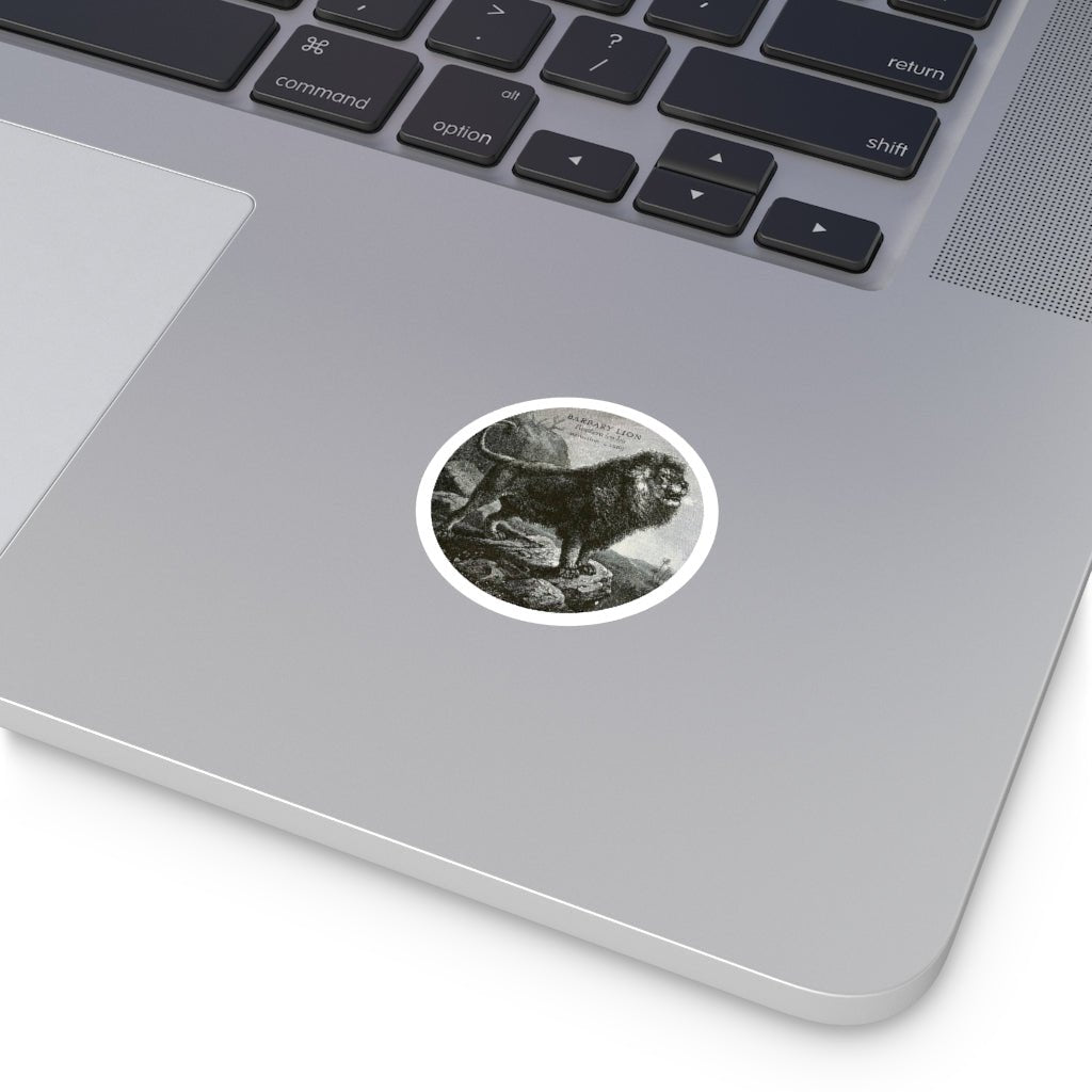 The Barbary Lion: Extinct Animals Stickers - Keep Salem Odd