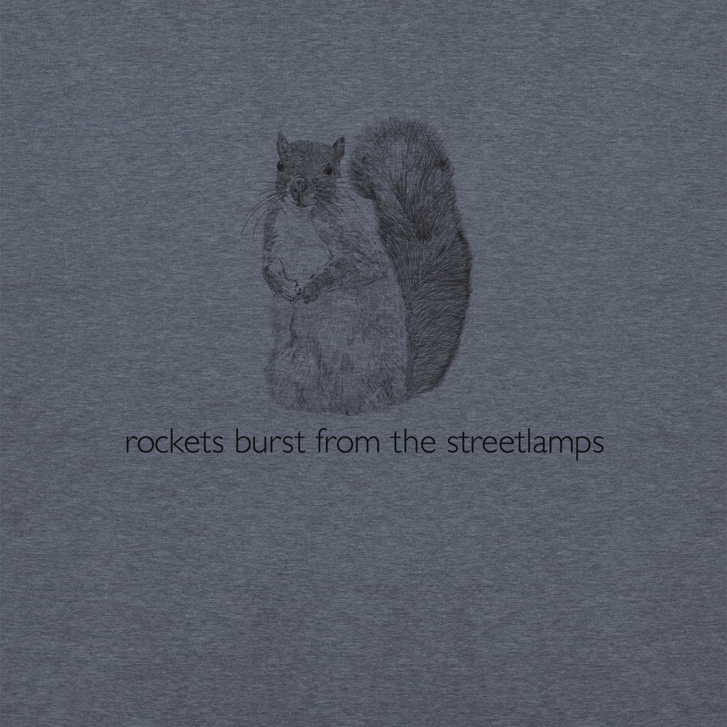 Rockets Burst from the Streetlamps Squirrel Kangaroo Hoodie