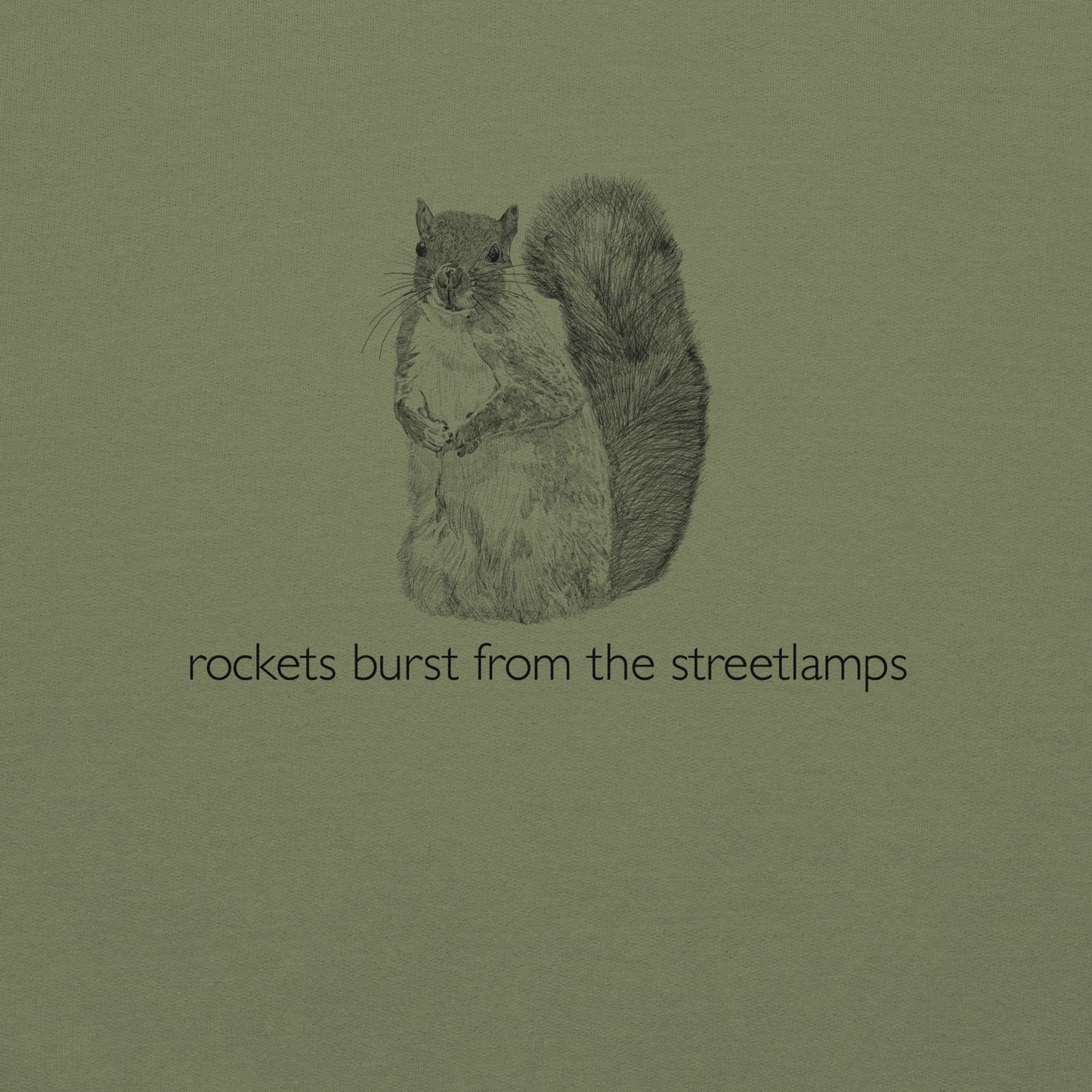 Rockets Burst from the Streetlamps Squirrel Kangaroo Hoodie