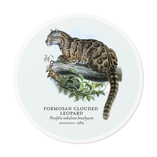Formosa Clouded Leopard: Extinct Animals Stickers - Keep Salem Odd