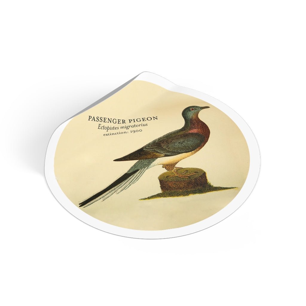 Passenger Pigeon: Extinct Animals Stickers - Keep Salem Odd