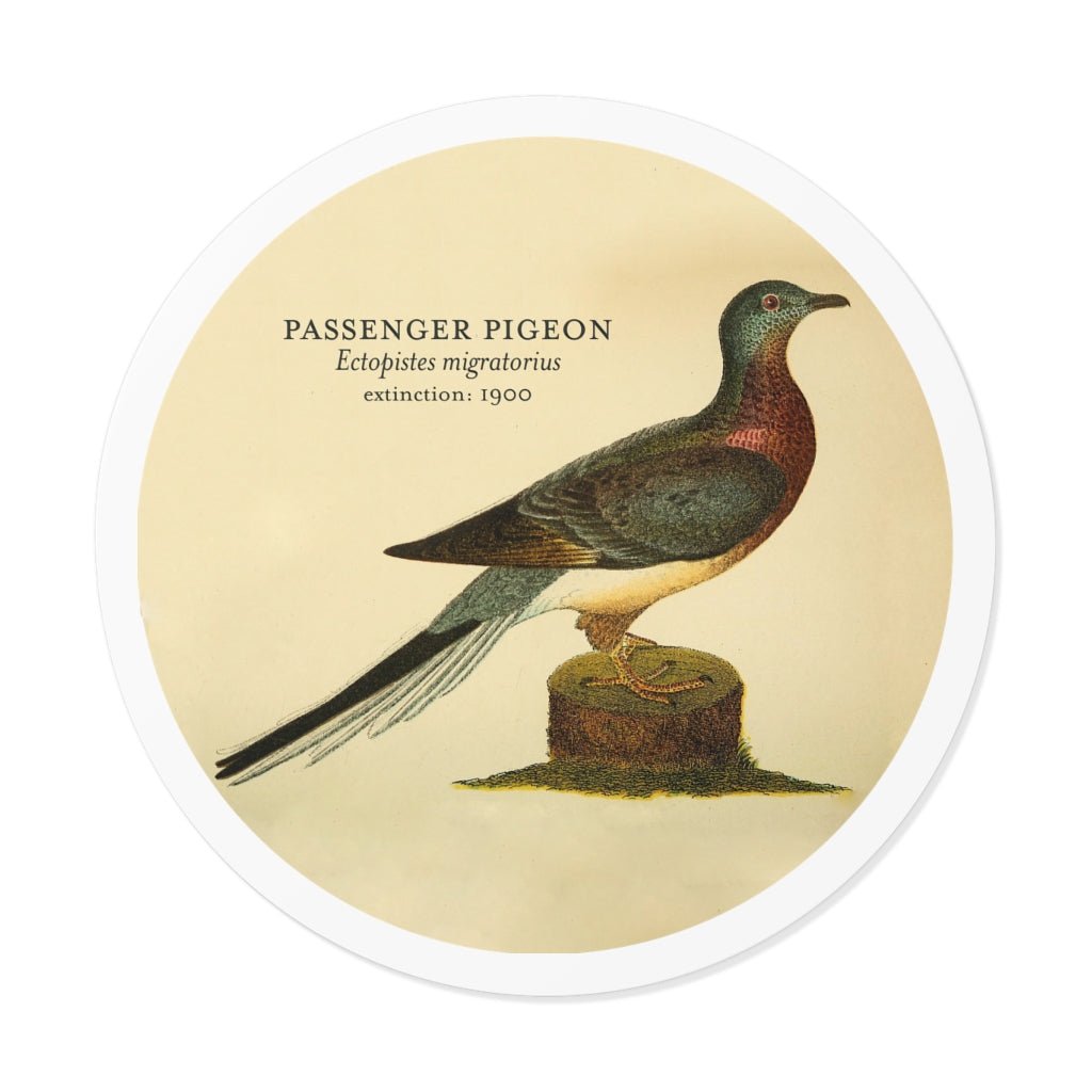 Passenger Pigeon: Extinct Animals Stickers - Keep Salem Odd
