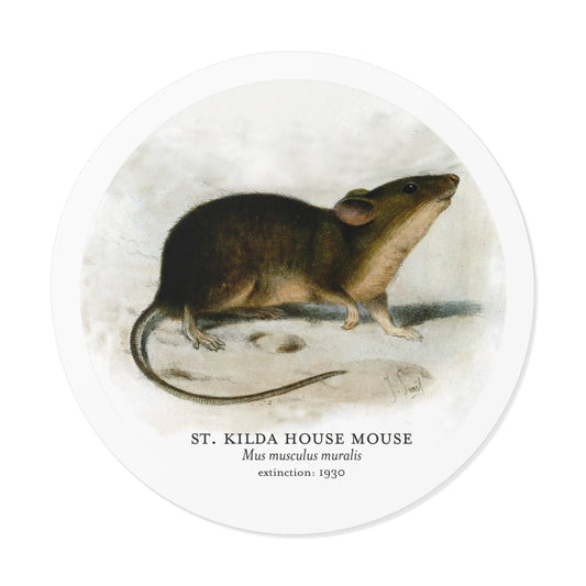 St Kilda House Mouse: Extinct Animals Stickers - Keep Salem Odd